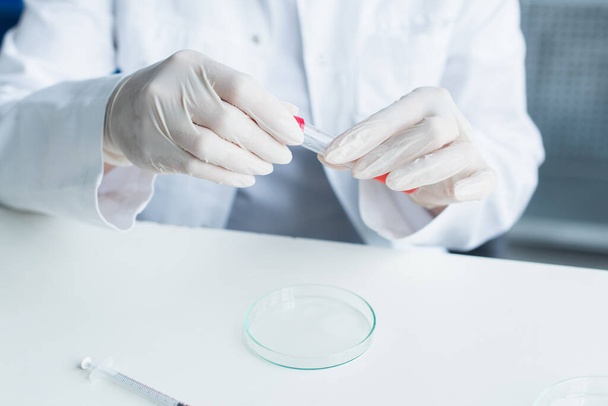 Cropped view of scientist in latex gloves holding test tube near petri dish in lab  - Zdjęcie, obraz