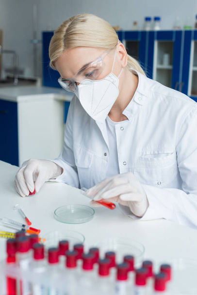 Blondýny vědec v latexové rukavice držení zkumavky v blízkosti Petriho misky v laboratoři  - Fotografie, Obrázek