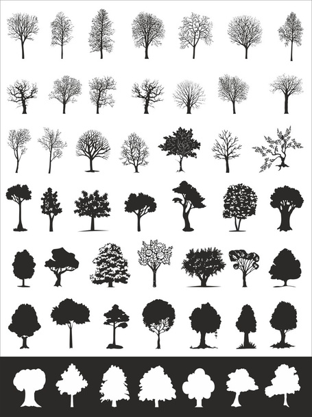 Stromy, Vektorové kolekce - Vektor, obrázek