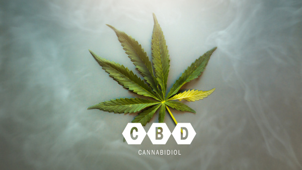 art Medische cannabisbladeren en CBD cannabidiol olie concept, hennep bladeren bovenaanzicht op donkergrijze achtergrond.  - Foto, afbeelding