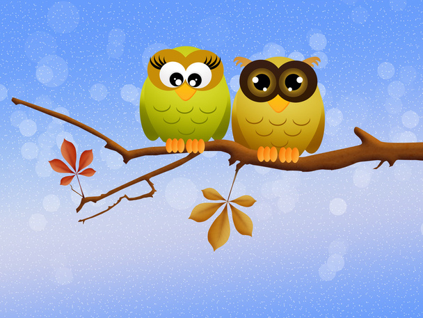 Owls couple on branch - Zdjęcie, obraz