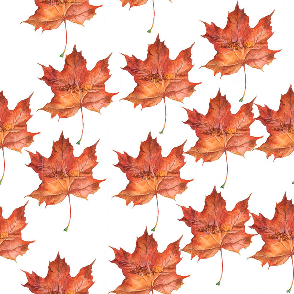 Seamless pattern. Autumn pattern from maple leaves. Autumn maple tree leaf for the design of greeting cards, holiday banners, and posters. - Фото, изображение