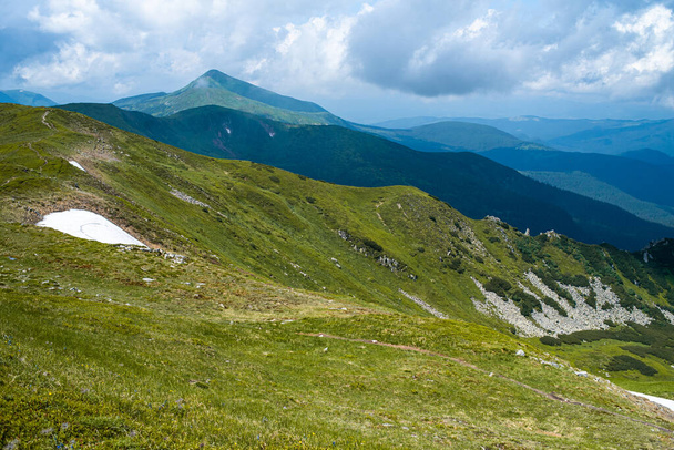 beautiful landscape of the carpathian mountains in the summer - Foto, afbeelding