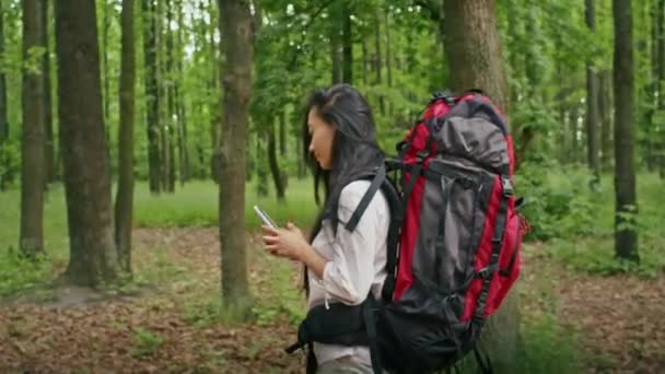 felice donna asiatica con uno zaino in cerca di una via nella foresta, utilizzando un telefono, parlando in videochiamata, guardando una mappa. campeggio in estate - Filmati, video