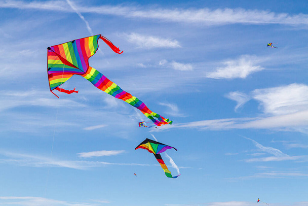 Colorful kites in autumn sky - Photo, image