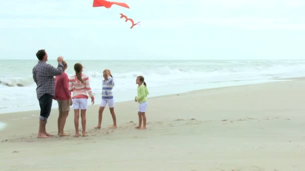 Rodina s draka na pláži - Záběry, video