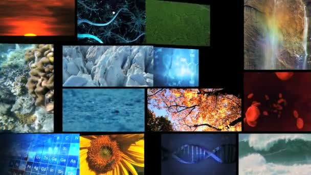 Videowand Montage von Natur Umwelt - Filmmaterial, Video