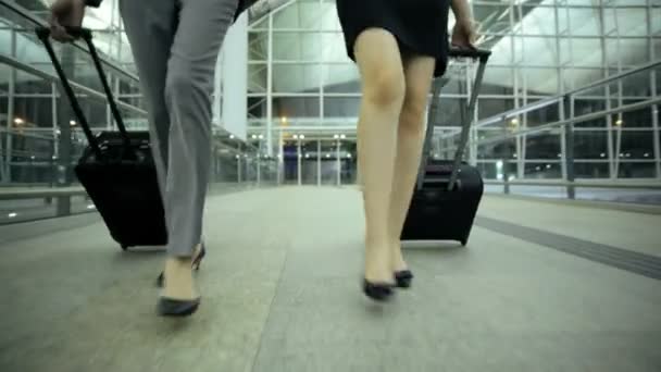 Aziatische vrouwelijke ondernemers in de luchthaventerminal - Video