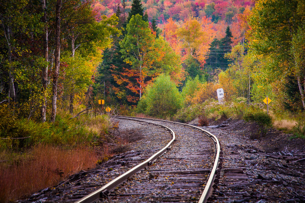 Autumn color along a railroad track in White Mountain National F - Foto, Imagen