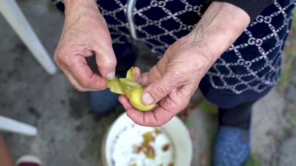 An elderly woman peels apricots and removes the pit from the fruit for subsequent preservation and cooking jam. Wrinkled hands of a working grandmother close-up. Selective focus - Filmmaterial, Video