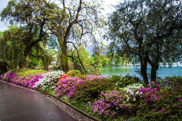 Park next to lake at Lugano - Foto, afbeelding