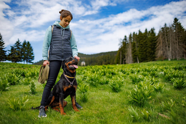 Cheerful teenage girl in suit stands with leash in her hands next to her dog friend of Rottweiler breed in green meadow with mountain vegetation, against background of tall fir trees and cloudy sky - 写真・画像