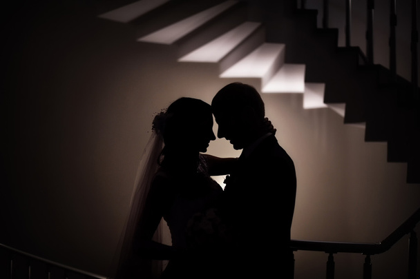 silueta svatební nevěsta a ženich láska - Fotografie, Obrázek