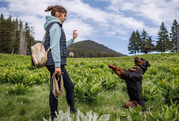 Cheerful attentive strict teenage girl in suit stands and gives commands to her big obedient trained friend dog of Rottweiler breed, on green meadow with mountain vegetation - 写真・画像
