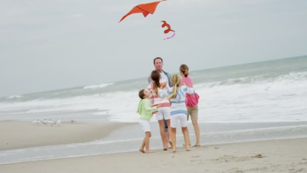 Сім'я з літаючим змієм на пляжі
 - Кадри, відео