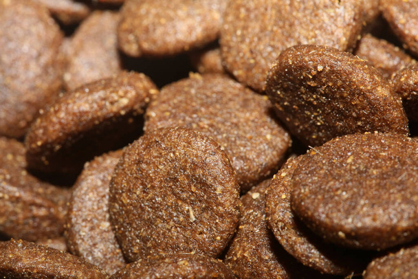 Dogs dry round food close up animals eating background high quality big size prints - Foto, Imagem