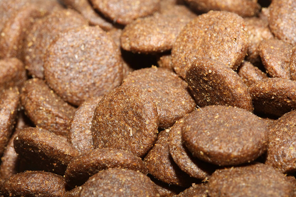 Dogs dry round food close up animals eating background high quality big size prints - Fotoğraf, Görsel