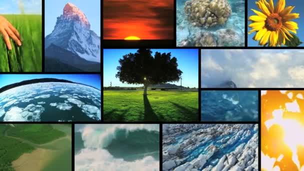 Montage vidéo d'images environnementales
 - Séquence, vidéo