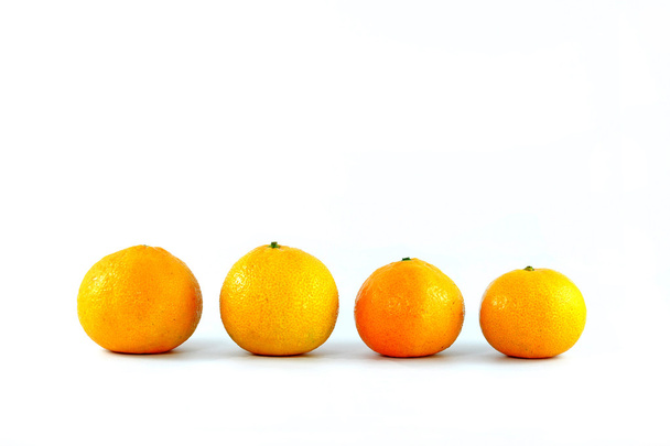 Oranges on white background - Photo, Image