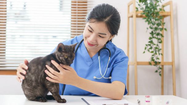 Pet conceito de cuidados, fêmea jogo veterinário e acariciando pele de gato depois de examinar gato saúde. - Foto, Imagem