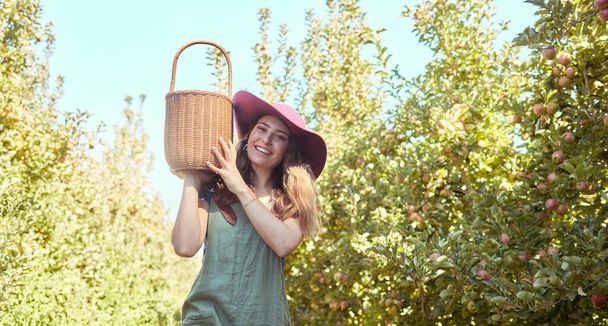 Portret szczęśliwej kobiety trzymającej koszyk, zbierającej świeże jabłka z drzewa na zrównoważonej farmie sadów na zewnątrz w słoneczny dzień. Wesoły rolnik zbiera soczyste, pożywne owoce organiczne w sezonie do jedzenia. - Zdjęcie, obraz