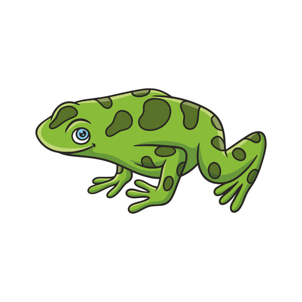 kreslené ilustrace žába je na listu listnatého stromu a vysoko ve středu lesa a vzhlíží k chytit svou kořist - Vektor, obrázek