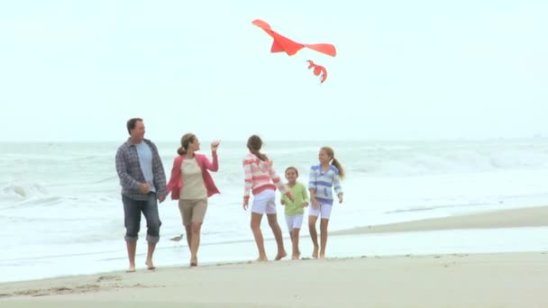 ビーチでカイトと家族 - 映像、動画
