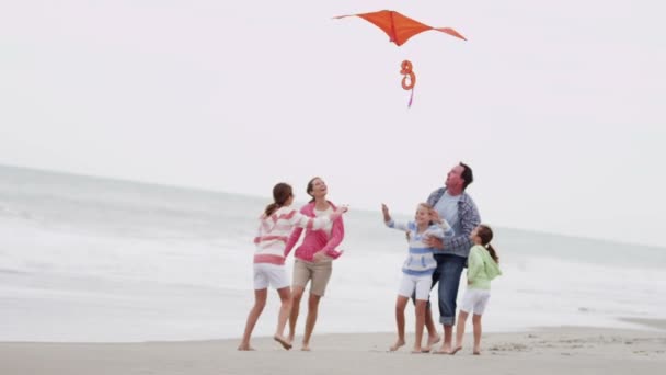 Familie met vliegende kite op strand - Video
