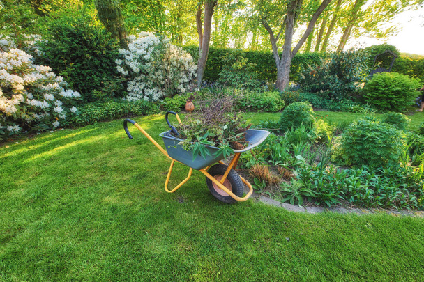 Wheelbarrow σε ένα τέλειο καταπράσινο γκαζόν σε έναν καλλιεργημένο κήπο που χρησιμοποιείται για εργασίες στον κήπο. Επαγγελματική υπηρεσία κηπουρικής ή συμβασιούχος κηπουρός που διατηρεί μια καταπράσινη αυλή και φυτεύει εποχιακούς θάμνους. - Φωτογραφία, εικόνα