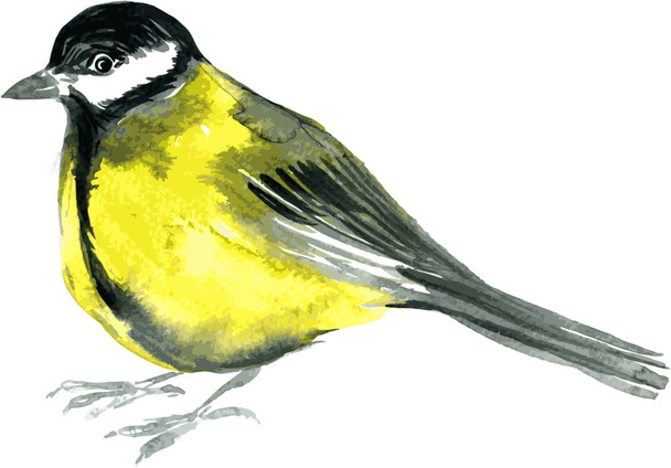 watercolor drawing bird - Vector, Imagen