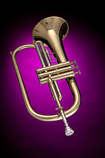 Pink izole flügelhorn trompet - Fotoğraf, Görsel