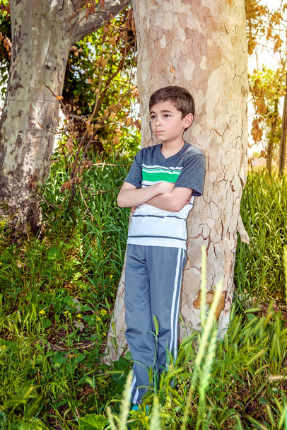 Портрет серйозного хлопчика спирається на дерево
 - Фото, зображення