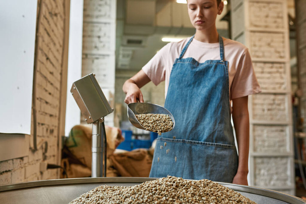 Focused european female worker or barista pouring out fresh organic green coffee beans with scoop in metal grinder. Coffee process making and production. Small business. Modern manufacturing equipment - Foto, Bild