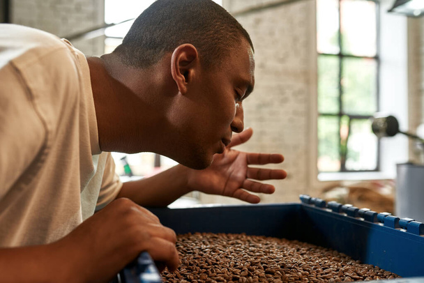 Black male barista or business owner sniffing fresh roasted coffee beans in plastic basket. Coffee process making and production. Small business. Young man with closed eyes checking coffee roasting - Photo, Image