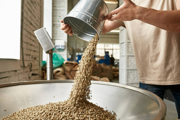 Rajatut mies työntekijä kaatamalla tuoreita orgaanisia kahvipapuja ämpäri metalli mylly tehtaalla. Kahvin valmistus ja tuotanto. Pienyritys. Nykyaikaiset valmistuslaitteet - Valokuva, kuva