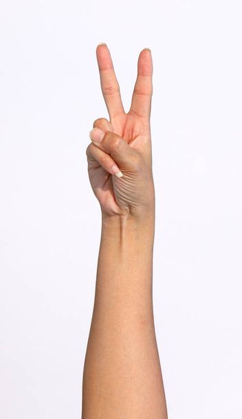 Руки девушки показывают различные жесты на белом фоне - Фото, изображение
