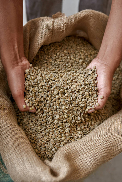 Partial top view of male worker or farmer hands taking green coffee beans from textile sack. Coffee process making and production. High quality fresh natural organic coffee grains - Photo, Image