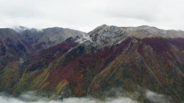 Video paesaggistico di montagne, catene montuose con foreste coperte di foschia. Vista aerea Bosnia-Erzegovina. - Filmati, video