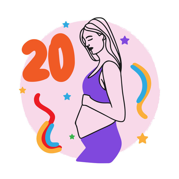 Těhotenský termín, počítání týdnů, těhotné děvče, velké břicho, matka v očekávání - Vektor, obrázek