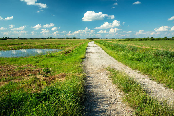 A dirt road through green meadows and blue sky, a bright summer day - Fotoğraf, Görsel