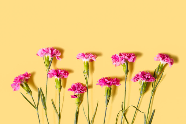 Pink carnations on orange background. Pattern. - Photo, Image