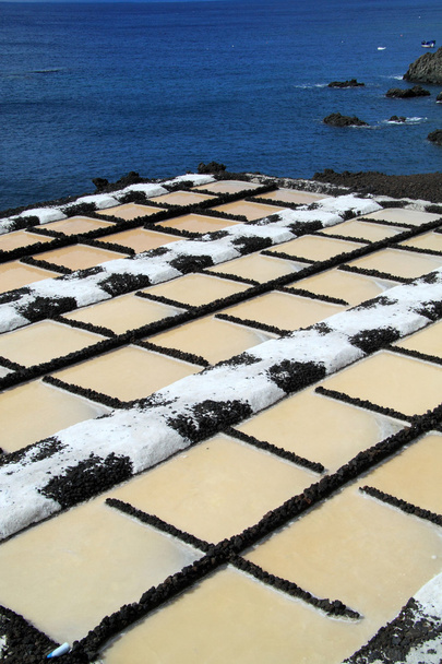 Производство морской соли
 - Фото, изображение