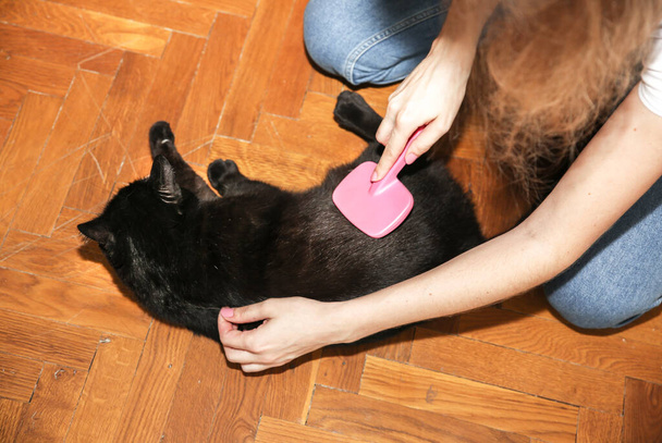 Η γυναίκα βουρτσίζει μαύρη γάτα. Περιποίηση κατοικίδιων. Γούνα ρίχνει. Χαρούμενο ζώο. - Φωτογραφία, εικόνα