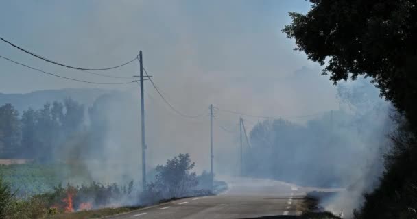 Global warming, fire in the countryside, southern France - Footage, Video