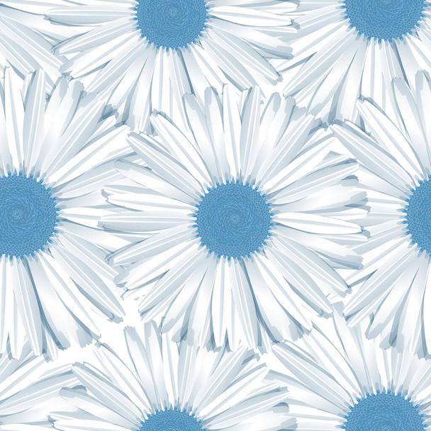 beautiful daisy flower background - Vector, Image