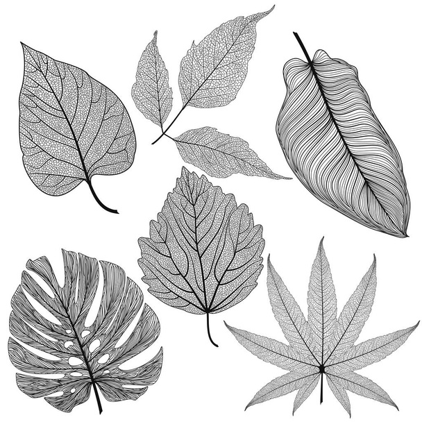 Sonbahar yapraklarının vektör illüstrasyonu - Vektör, Görsel