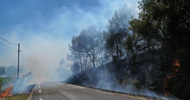 Υπερθέρμανση του πλανήτη, φωτιά στην ύπαιθρο, νότια Γαλλία - Πλάνα, βίντεο