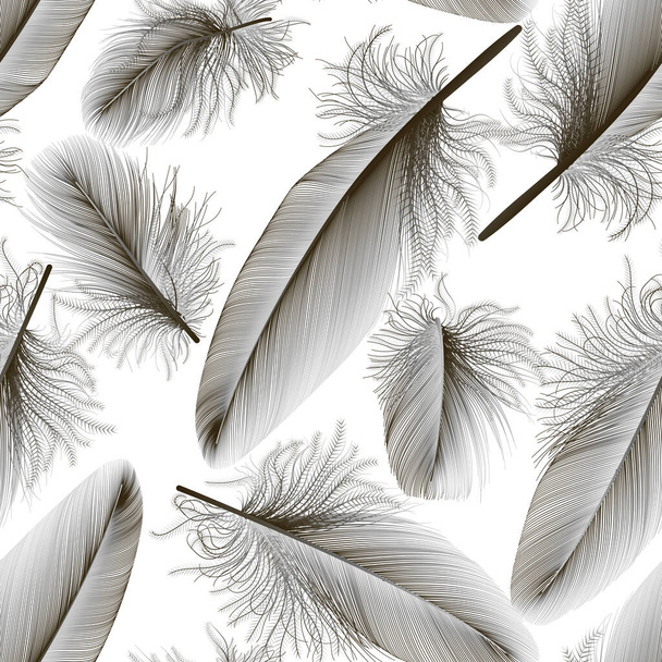 feather pattern on white background - Вектор,изображение