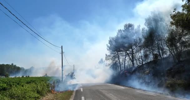 Глобальное потепление, пожар в сельской местности, южная Франция - Кадры, видео