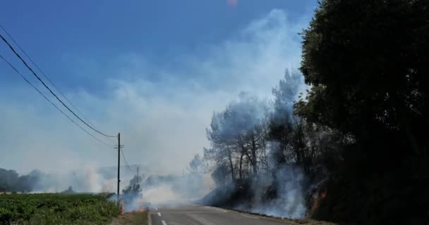 Globalne ocieplenie, pożar na wsi, południowa Francja - Materiał filmowy, wideo